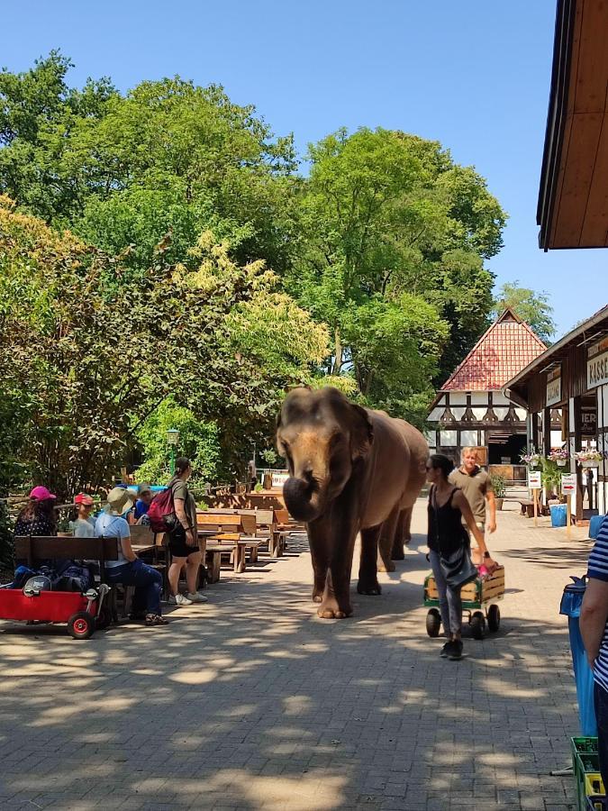 Tierpark Entdeckerhaeuser Wagenfeld Luaran gambar