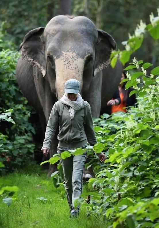 Tierpark Entdeckerhaeuser Wagenfeld Luaran gambar