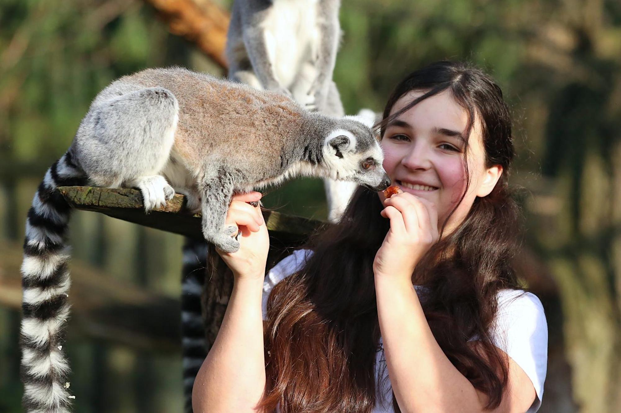 Tierpark Entdeckerhaeuser Wagenfeld Luaran gambar